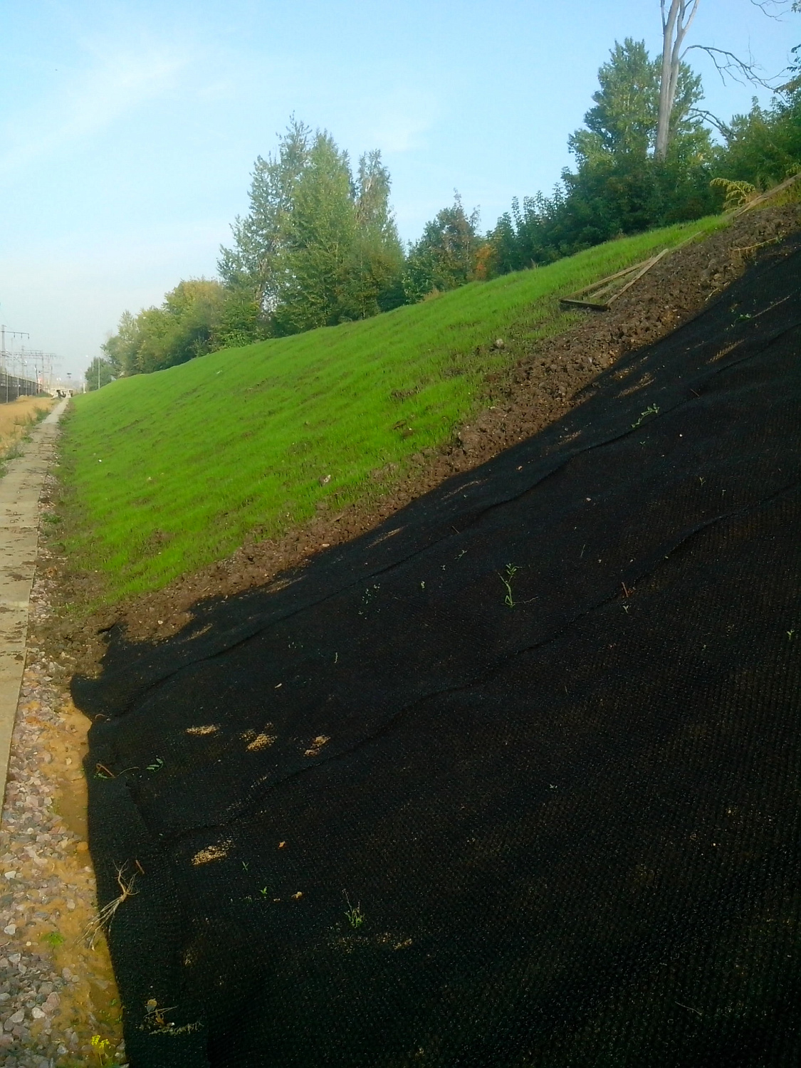 Геоматы вблизи ЖД станции "Планерная"