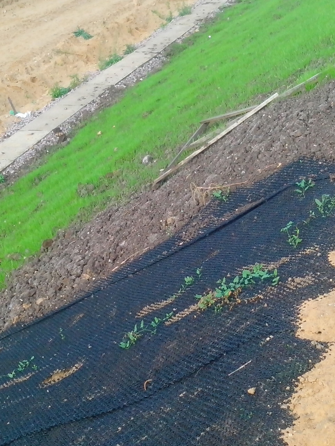 Геоматы вблизи ЖД станции "Планерная"