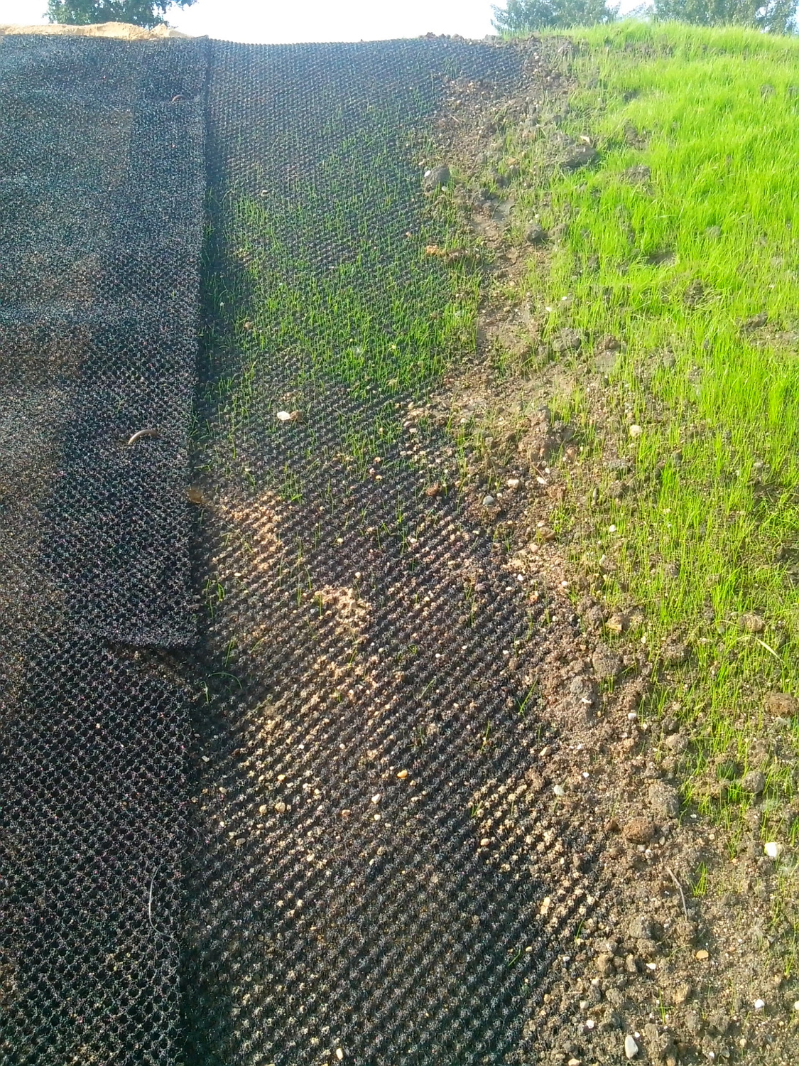 Геоматы вблизи ЖД станции "Планерная"